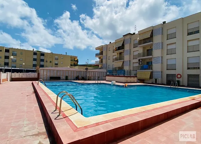 Golden Reddis Daire Cambrils